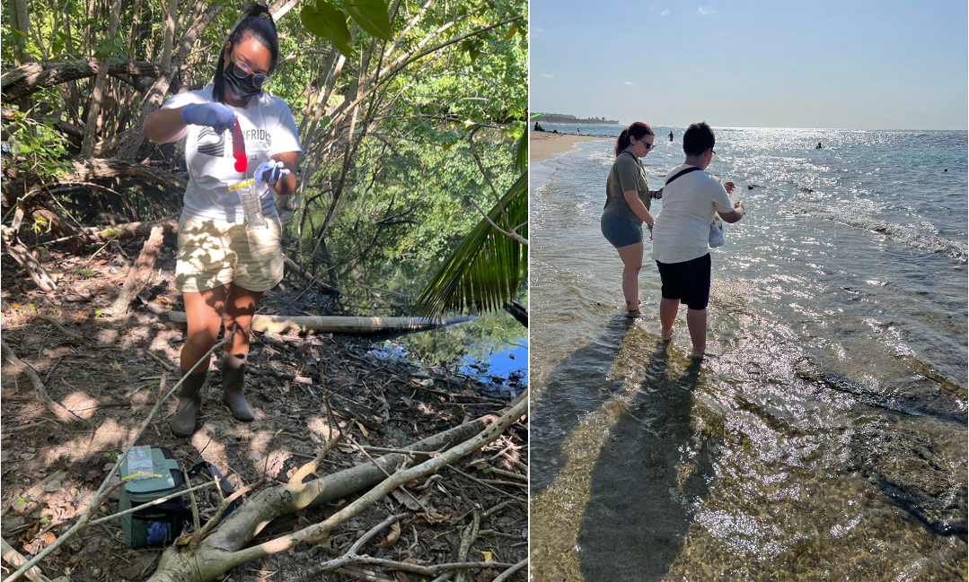 Collecting water samples